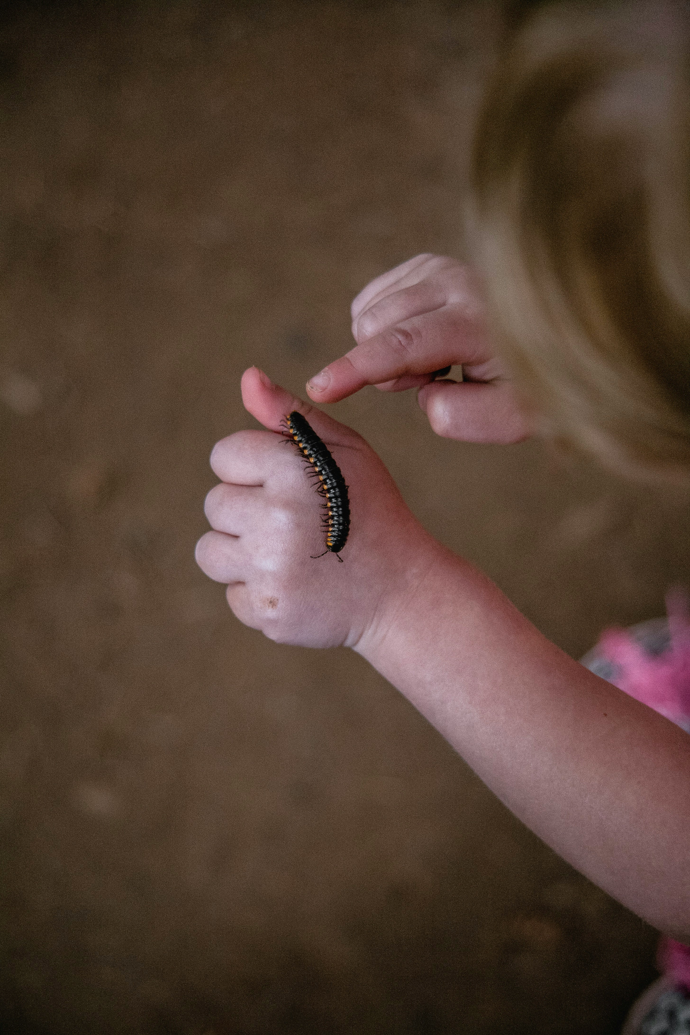 black centipede on kid's hand